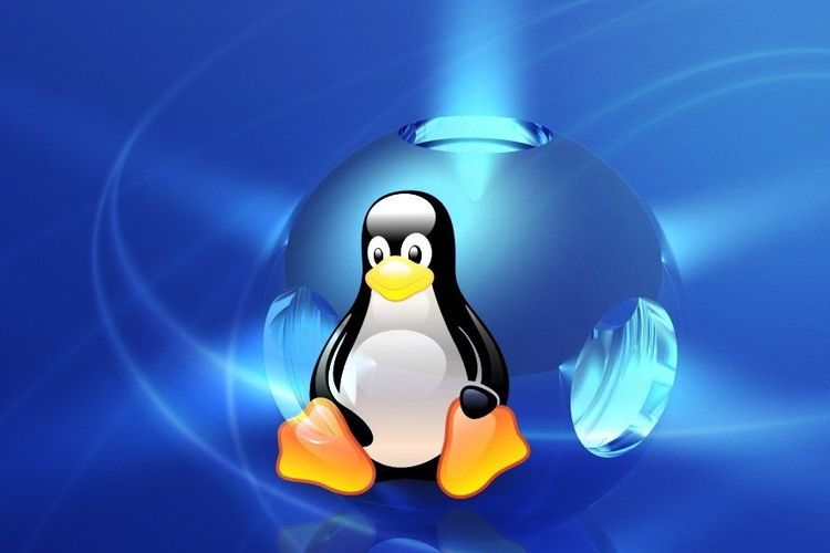 為什么Linux成為服務(wù)器的首選？.jpg